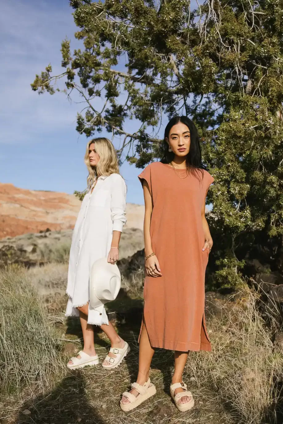 Clearance Shelese T-Shirt Dress in MIDI DRESSES | DRESSES